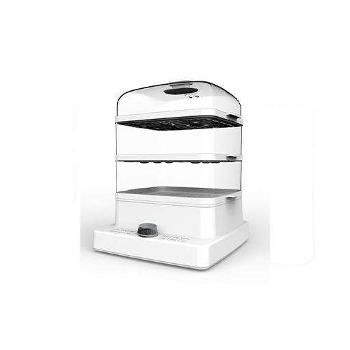 DSP electric steamer Model:KA5015